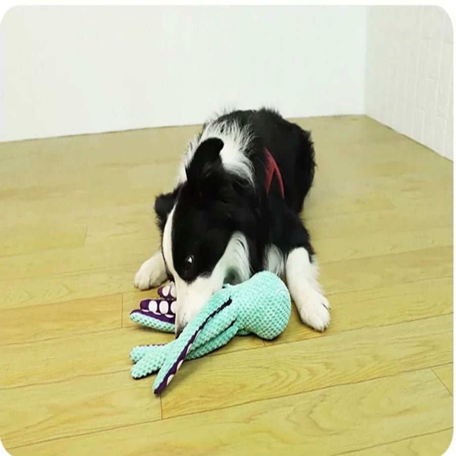 Plush Octopus Squeaky Dog Chew Toy, 13" | 32 cm plush toy – – – Image 3 | Plushie Produce