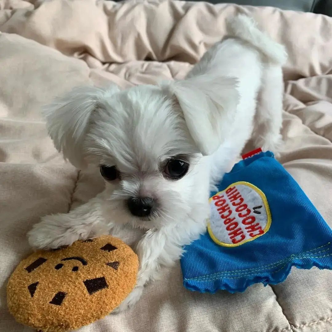 Plushie Chocolate Chip Cookie Crinkle Chew Toy, 7" | 17 cm plush toy – – – Image 3 | Plushie Produce