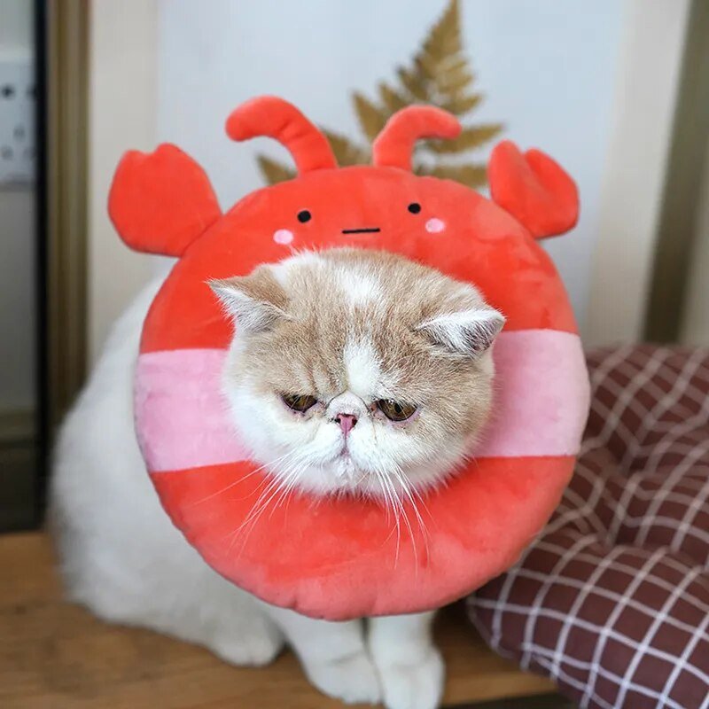 Plushie Pet Recovery Collar Plushie, Four Styles, for Pets to 13 lbs. (6 kg) plush toy – – – Image 1 | Plushie Produce