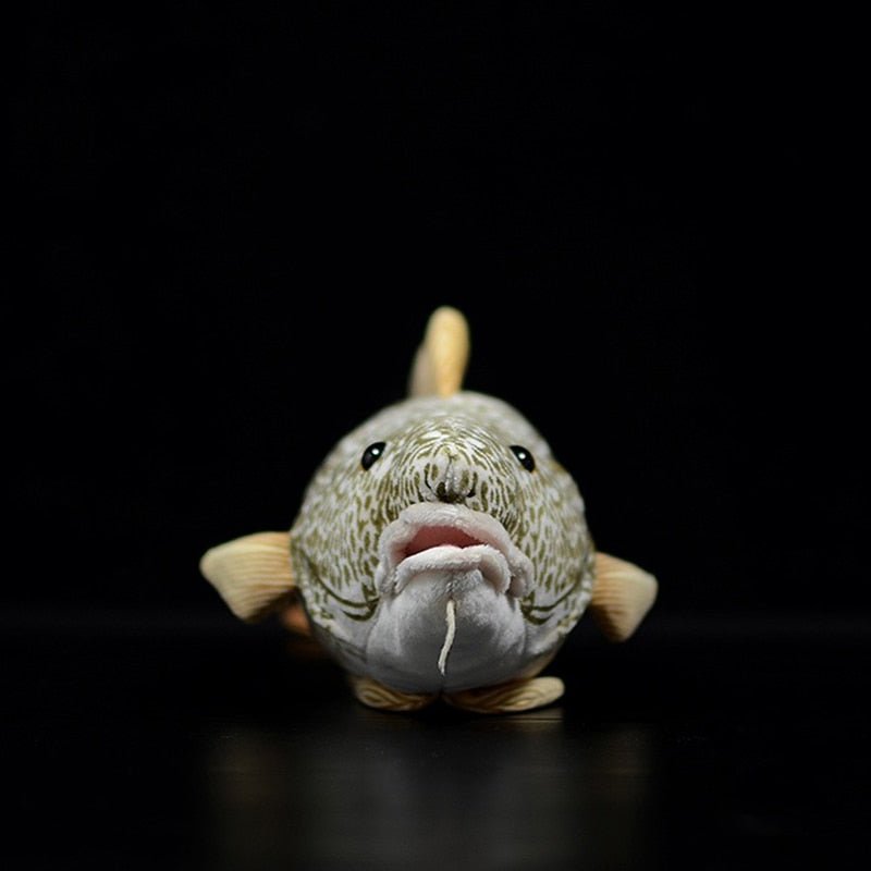 Plushie Realistic Atlantic Codfish, 17" | 42 cm plush toy – – – Image 2 | Plushie Produce