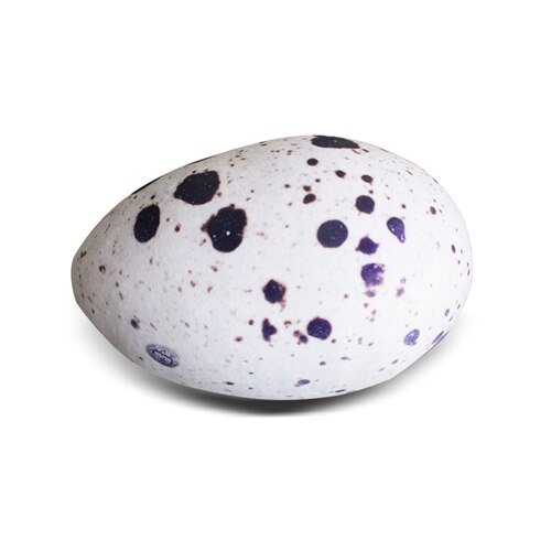 Plushie Realistic Quail Egg Pillow, 14" | 22 cm plush toy – – Model 3 – Image 2 | Plushie Produce
