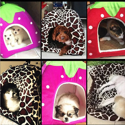 Berry Plush Pet Bed – Four Colors - A Cozy Haven for Pets up to 8 kg