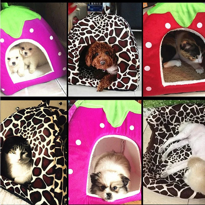 Berry Plush Pet Bed – Four Colors - A Cozy Haven for Pets up to 8 kg