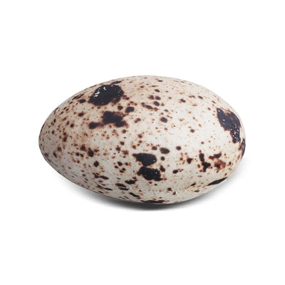 Plushie Realistic Quail Egg Pillow, 14" | 22 cm