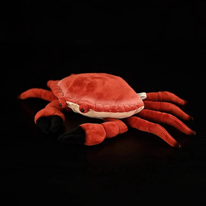 Realistic Red Crab Plushie, 9" | 22 cm