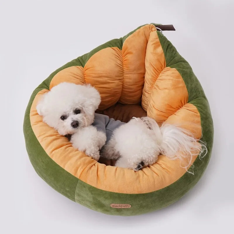 Plushie Avocado Cat/Dog Bed for Small Pets up to 13 lbs (6 kg)