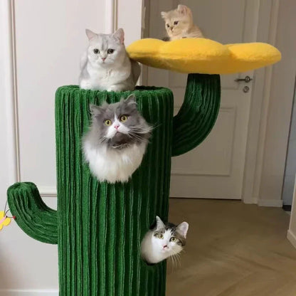 Árbol para gatos de lujo en forma de cactus - Apto para múltiples gatos