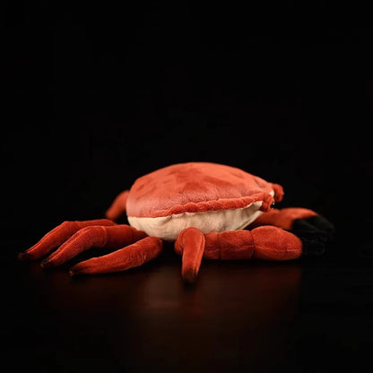 Realistic Red Crab Plushie, 9" | 22 cm