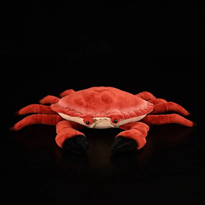 Realistic Red Crab Plushie, 9" | 22 cm