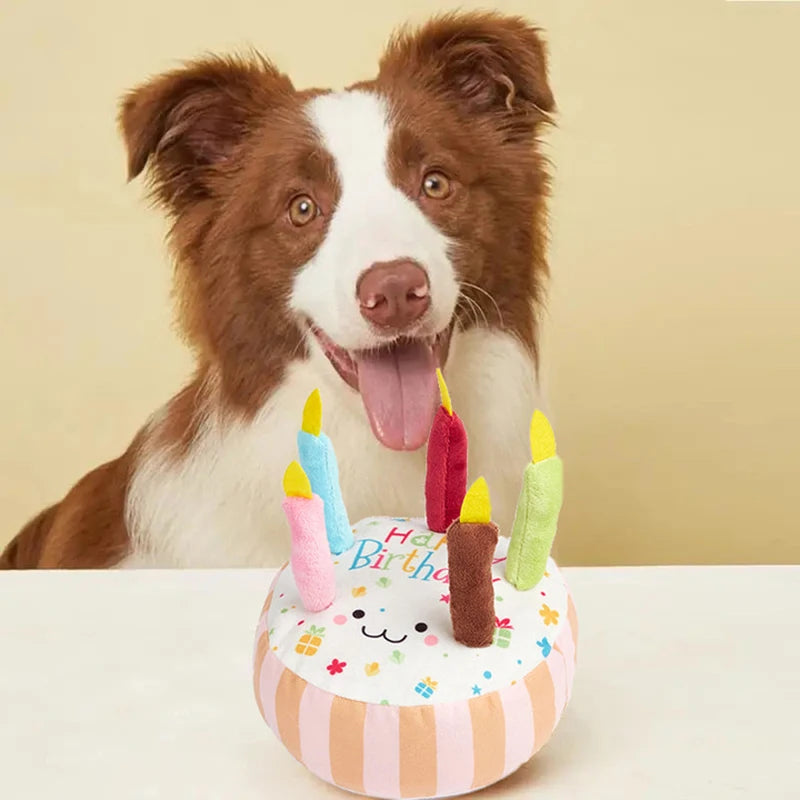 Birthday Cake Dog Squeaky Toy – Plush Molar Chew Toy for Pets
