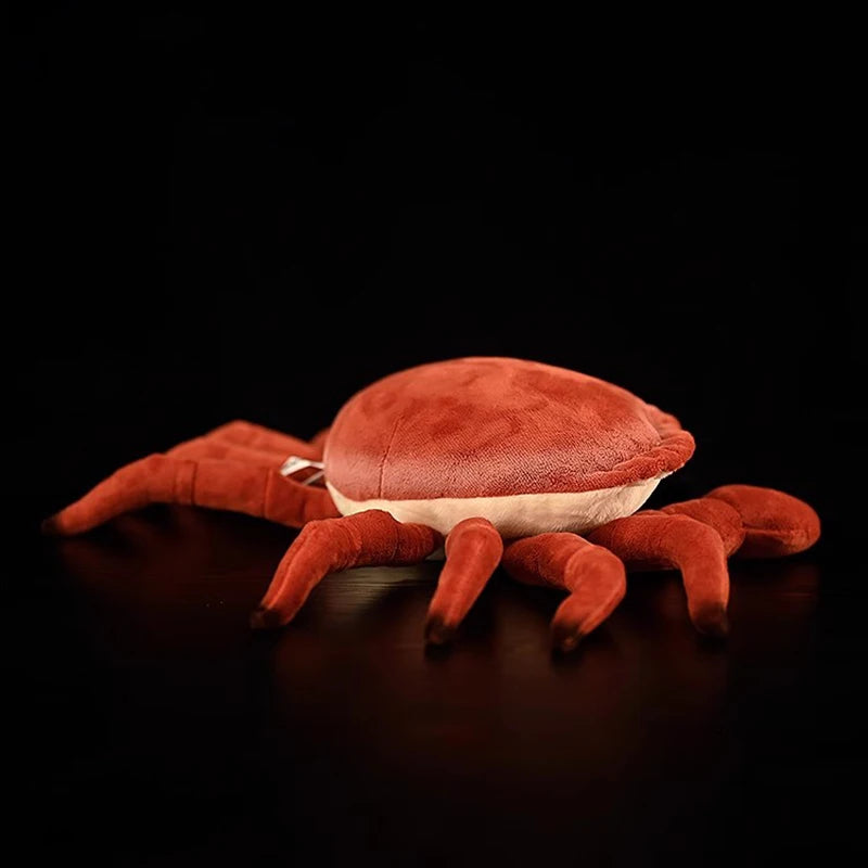 Realistic Red Crab Plushie, 9" | 22 cm