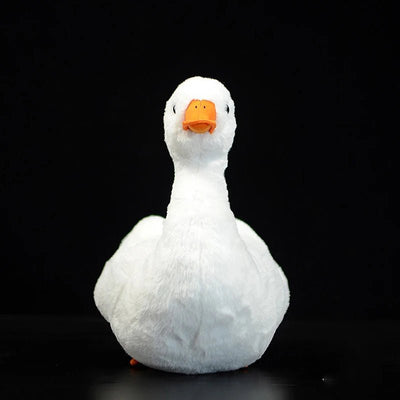 Realistic Mallard & Call Duck Plushie, 12" | 26 cm plush toy – – – Image 6 | Plushie Produce