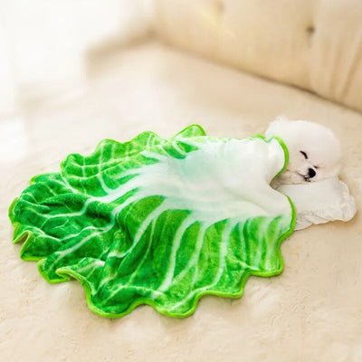 Coral Fleece Cabbage Blanket for Small Pets or Babies, 18" | 45 cm plush toy – – – Image 1 | Plushie Produce