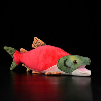 Lifelike Sockeye Salmon Plush Toy – Soft & Realistic Fish Plush plush toy – – – Image 1 | Plushie Produce