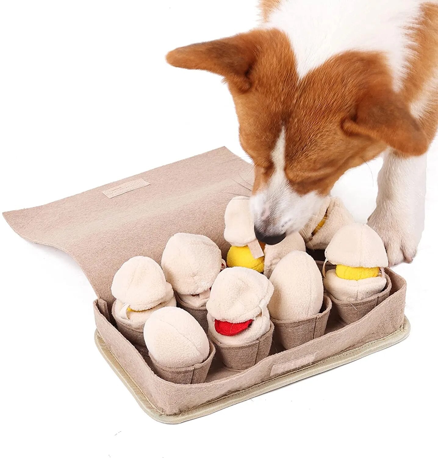 Plush Carton of Eggs Dog Sniffing Toy, 11" | 28 cm