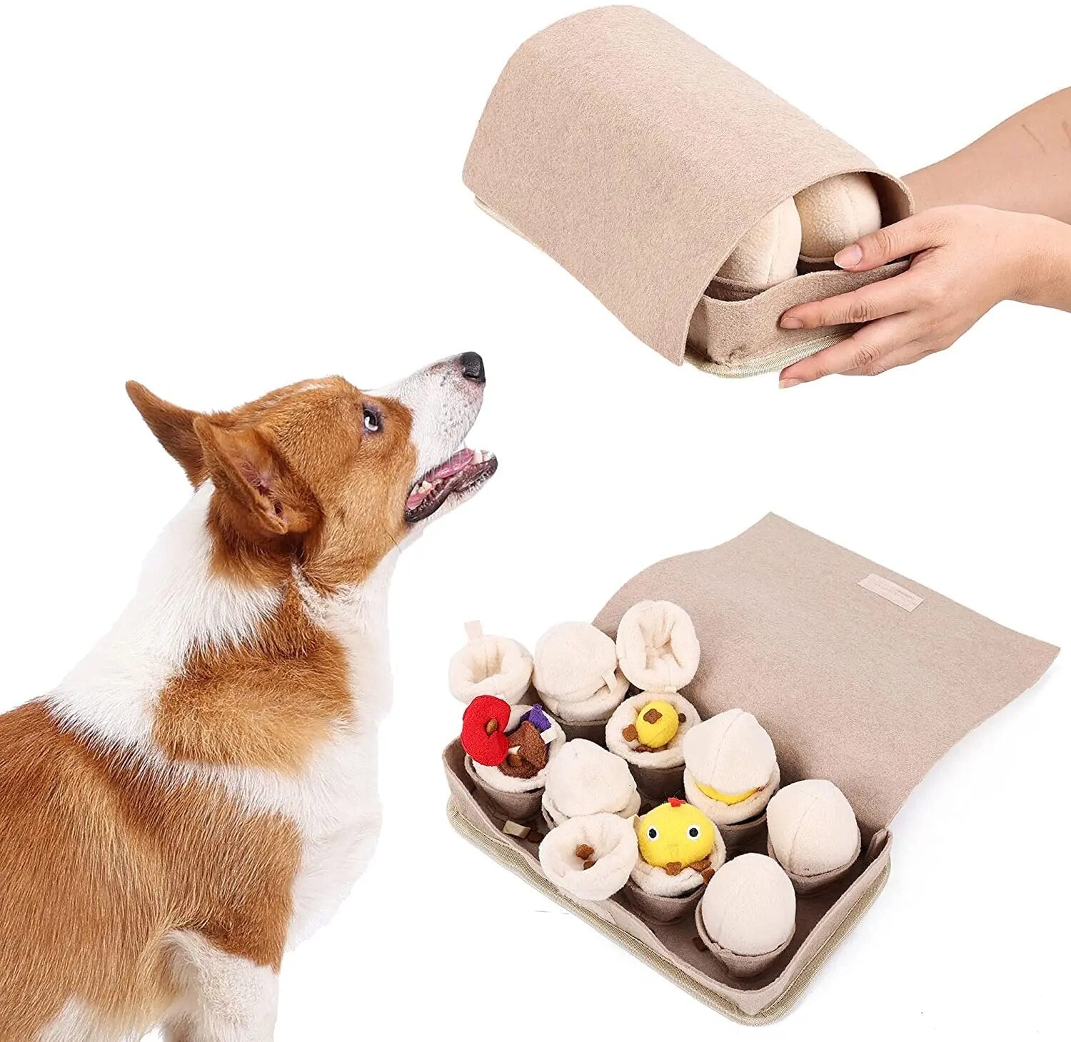 Plushie Carton of Eggs Dog Toy, 11" | 28 cm