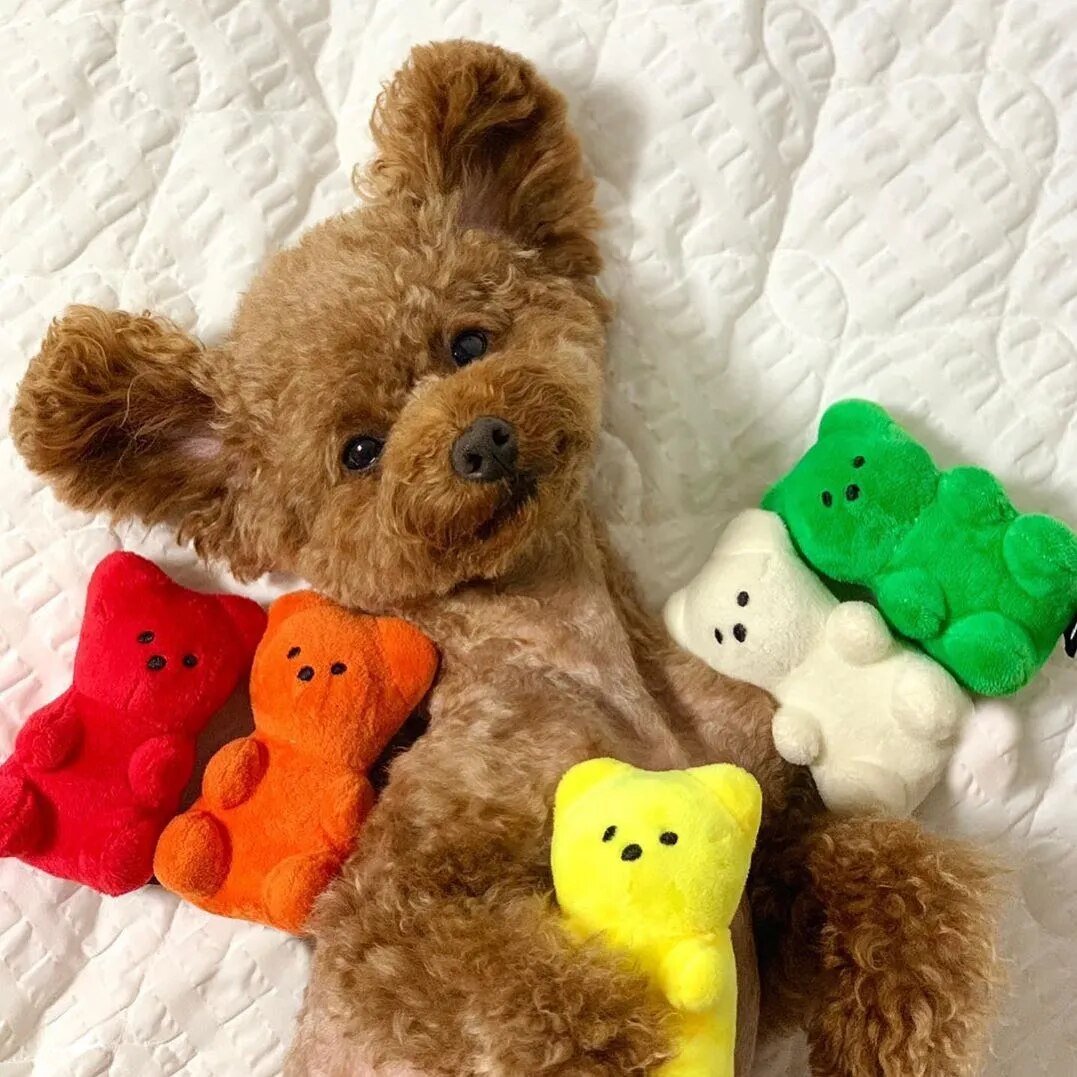 Plushie Gummy Bear Squeaky Chew Toy, 5 Colors, 4" | 11 cm - Plushie Produce