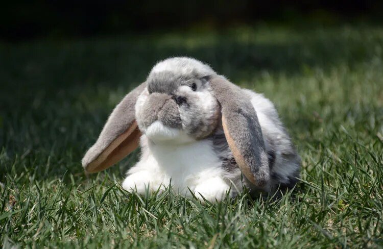 Plush Lifelike Long-Eared Lop Rabbit, 11" | 27 cm
