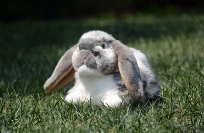 Plushie Lifelike Long-Eared Lop Rabbit, 11" | 27 cm