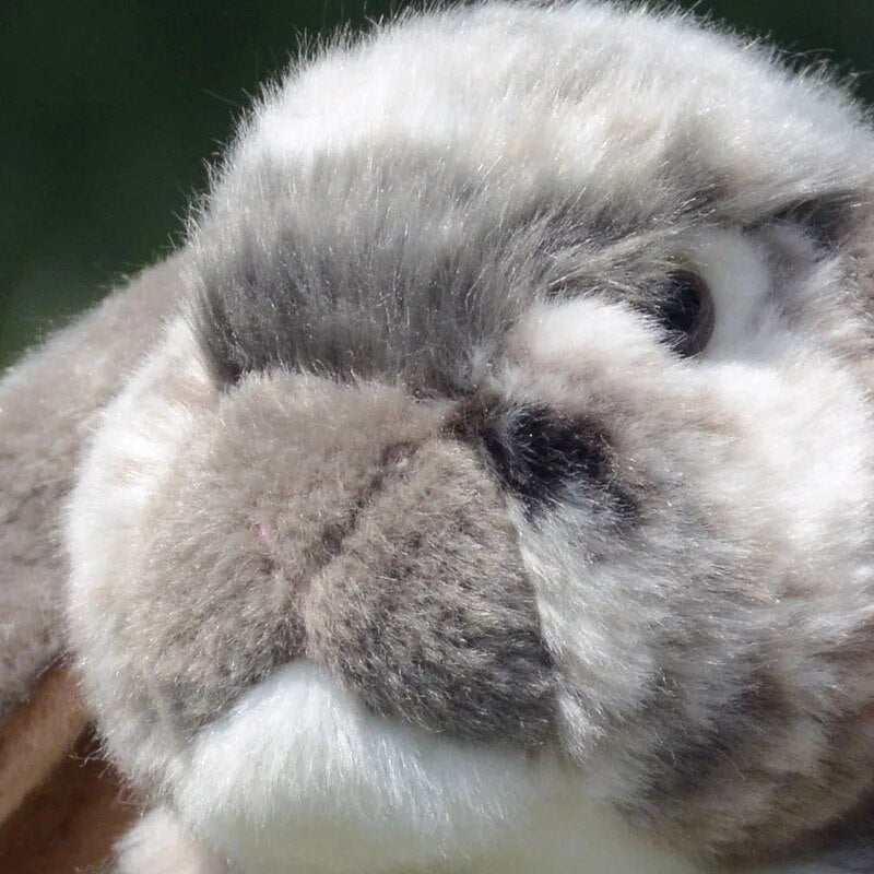 Plush Lifelike Long-Eared Lop Rabbit, 11" | 27 cm