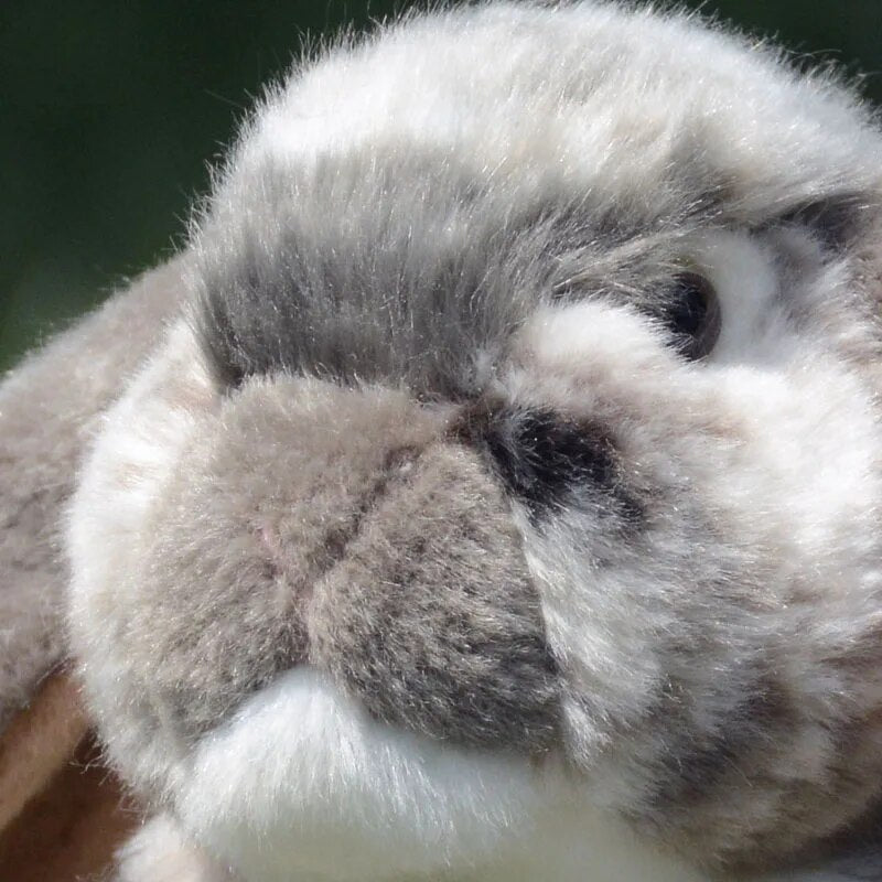 Plushie Lifelike Long-Eared Lop Rabbit, 11" | 27 cm