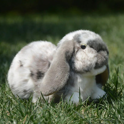 Plushie Lifelike Long-Eared Lop Rabbit, 11" | 27 cm