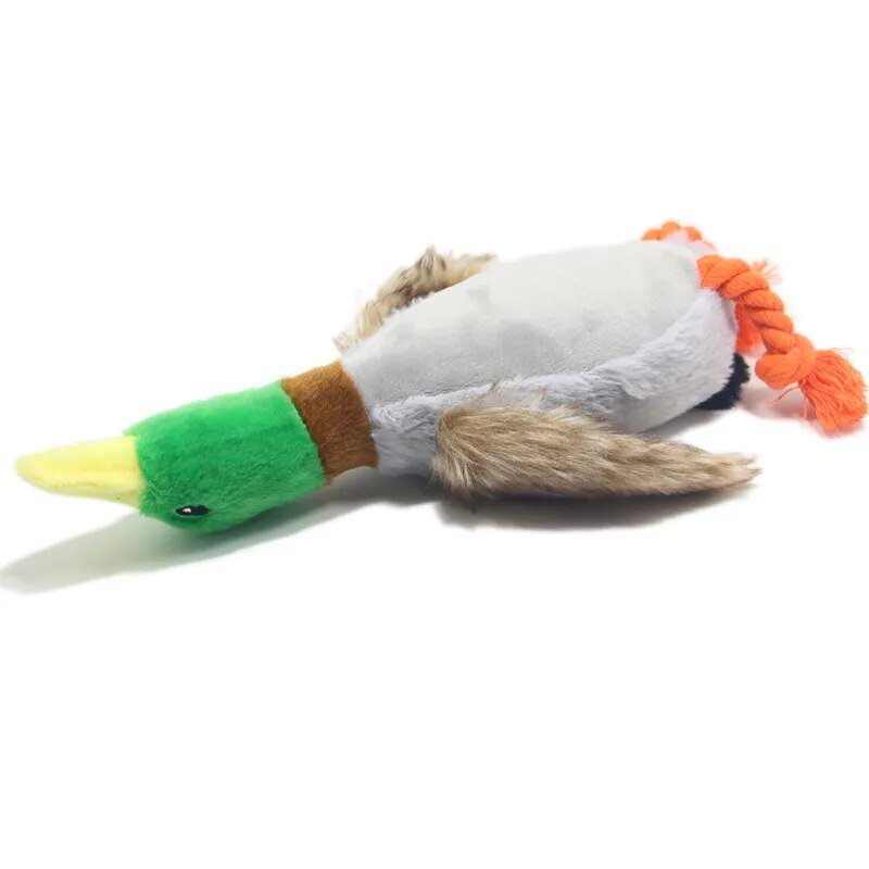 Plush Mallard Duck Dog Squeaky Chew Toy, 12-14" | 30-34 cm