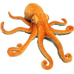 Plush Realistic Common Octopus, 1.1-2.5' | 35-75 cm Plushie Produce