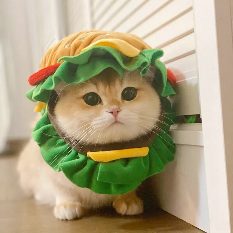 Plushie Hamburger Pet Hat, 3 Sizes, For Pets to 44 lbs (20 kg) plush toy – – – Image 2 | Plushie Produce