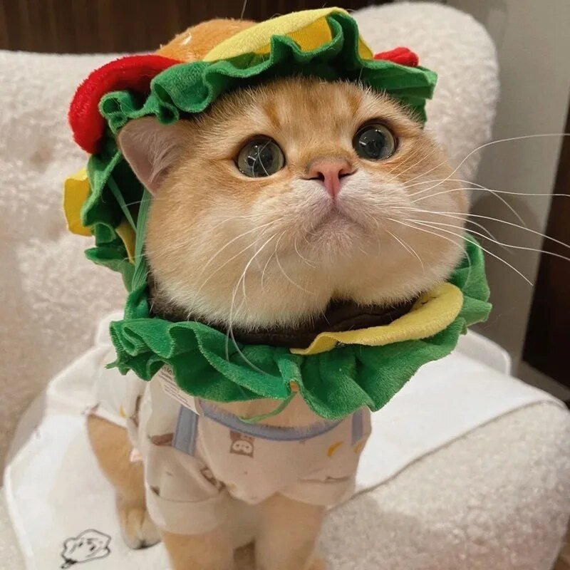 Plushie Hamburger Pet Hat, 3 Sizes, For Pets to 44 lbs (20 kg) plush toy – – – Image 3 | Plushie Produce