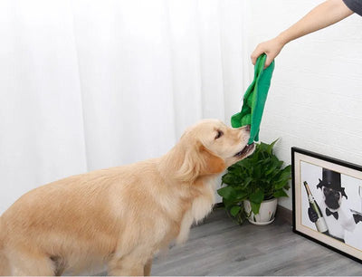 Plushie Peas in a Pod Dog Sniffing Toy, 12" | 31 cm plush toy – – – Image 8 | Plushie Produce