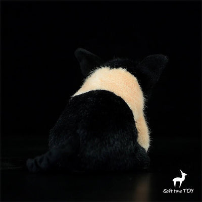 Plushie Realistic Sitting Pig, Two Colors, 7" | 18 cm plush toy – – – Image 5 | Plushie Produce